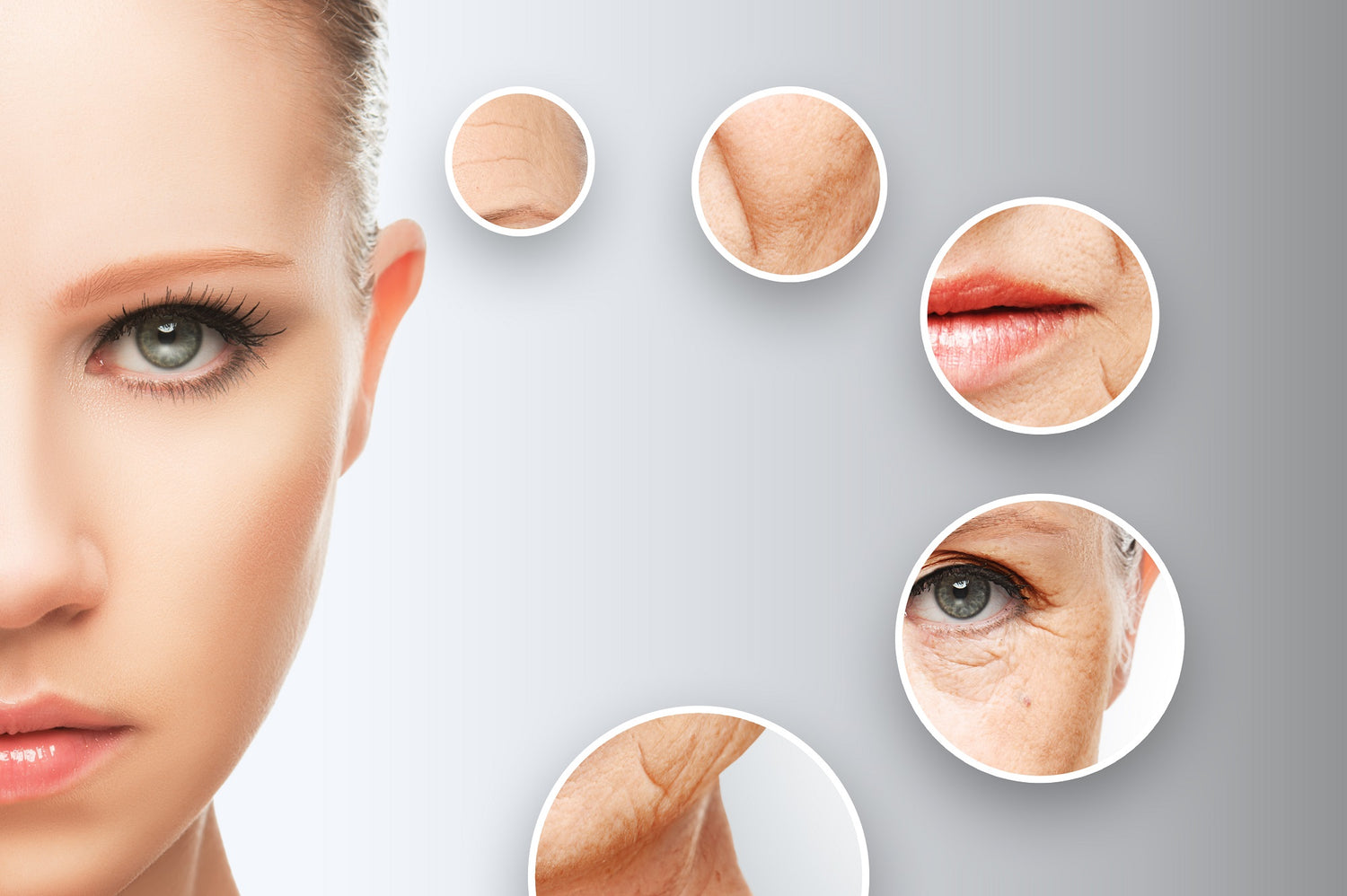Dermal Fillers